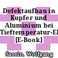 Defektaufbau in Kupfer und Aluminium bei Tieftemperatur-Elektronen-Bestrahlung [E-Book] /