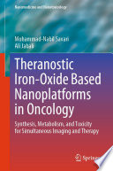 Theranostic Iron-Oxide Based Nanoplatforms in Oncology [E-Book] : Synthesis, Metabolism, and Toxicity for Simultaneous Imaging and Therapy /