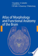 Atlas of Morphology and Functional Anatomy of the Brain [E-Book] /