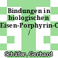 Bindungen in biologischen Eisen-Porphyrin-Chelaten /