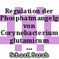 Regulation der Phosphatmangelgene von Corynebacterium glutamicum durch das Zweikomponenten-System Pho-RS [E-Book]/