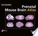 Prenatal mouse brain atlas : color images and annotated diagrams of: gestational days 12, 14, 16 and 18 ; sagittal, coronal and horizontal section [E-Book] /