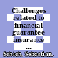 Challenges related to financial guarantee insurance [E-Book] /