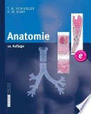 Anatomie [E-Book] : Histologie, Entwicklungsgeschichte, makroskopische und mikroskopische Anatomie, Topographie /