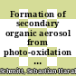 Formation of secondary organic aerosol from photo-oxidation of benzene : a chamber study /