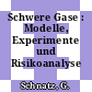 Schwere Gase : Modelle, Experimente und Risikoanalyse /