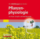 Pflanzenphysiologie : alle Abbildungen des Lehrbuchs /