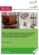 Micro- and Macroparticle enhanced cultivation of filamentous Lentzea aerocolonigenes for increased rebeccamycin production [E-Book] /