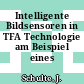 Intelligente Bildsensoren in TFA Technologie am Beispiel eines Äquidensitenextraktors.