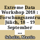 Extreme Data Workshop 2018 : Forschungszentrum Jülich, 18 – 19 September 2018, proceedings [E-Book] /