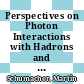 Perspectives on Photon Interactions with Hadrons and Nuclei [E-Book] : Proceedings of a Workshop Held at Göttingen, FRG on 20 and 21 February 1990 /