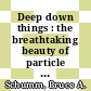 Deep down things : the breathtaking beauty of particle physics [E-Book] /