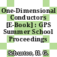 One-Dimensional Conductors [E-Book] : GPS Summer School Proceedings /