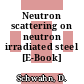 Neutron scattering on neutron irradiated steel [E-Book] /