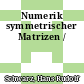 Numerik symmetrischer Matrizen /