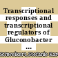 Transcriptional responses and transcriptional regulators of Gluconobacter oxydans 621H [E-Book] /