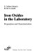 Iron oxides in the laboratory : preparation and characterization /