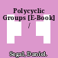 Polycyclic Groups [E-Book] /