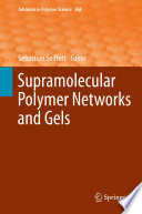 Supramolecular Polymer Networks and Gels [E-Book] /