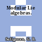 Modular Lie algebras.