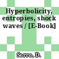 Hyperbolicity, entropies, shock waves / [E-Book]