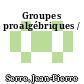 Groupes proalgébriques /