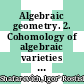 Algebraic geometry. 2. Cohomology of algebraic varieties : algebraic surfaces /