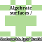 Algebraic surfaces /