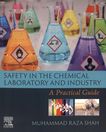 Safety in the chemical laboratory and industry : a practical guide /