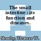 The small intestine : its function and diseases.