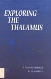 Exploring the thalamus /
