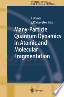 Many-Particle Quantum Dynamics in Atomic and Molecular Fragmentation [E-Book] /