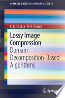 Lossy Image Compression [E-Book] : Domain Decomposition-Based Algorithms /