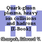 Quark-gluon plasma, heavy ion collisions and hadrons [E-Book] /