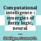 Computational intelligence : synergies of fuzzy logic, neural networks and evolutionary computing [E-Book] /