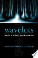 Wavelets : the key to intermittent information? /