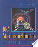 DNA structure and function.