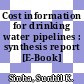 Cost information for drinking water pipelines : synthesis report [E-Book] /