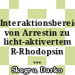 Interaktionsbereiche von Arrestin zu licht-aktivertem R-Rhodopsin [E-Book] /