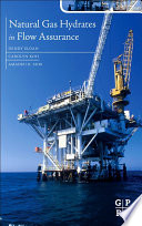 Natural gas hydrates in flow assurance [E-Book] /