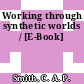 Working through synthetic worlds / [E-Book]