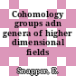 Cohomology groups adn genera of higher dimensional fields /
