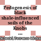 Pedogenesis of black shale-influenced soils of the Knobs region of Eastern Kentucky /