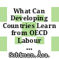 What Can Developing Countries Learn from OECD Labour Market Programmes and Policies? [E-Book] /