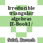 Irreducible triangular algebras [E-Book] /