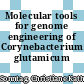 Molecular tools for genome engineering of Corynebacterium glutamicum /