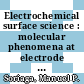Electrochemical surface science : molecular phenomena at electrode surfaces [E-Book] /