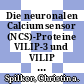 Die neuronalen Calciumsensor (NCS)-Proteine VILIP-3 und VILIP -1 aus dem Zentralnervensystem der Ratte [Compact Disc] : vergleichende Untersuchungen zu Lokalisation, Funktion und Calcium-Myristoyl-Switch /