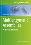 Multienzymatic Assemblies : Methods and Protocols [E-Book] /