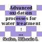 Advanced oxidation processes for water treatment : fundamentals and applications [E-Book] /